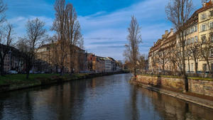 Vétérinaire de garde Strasbourg